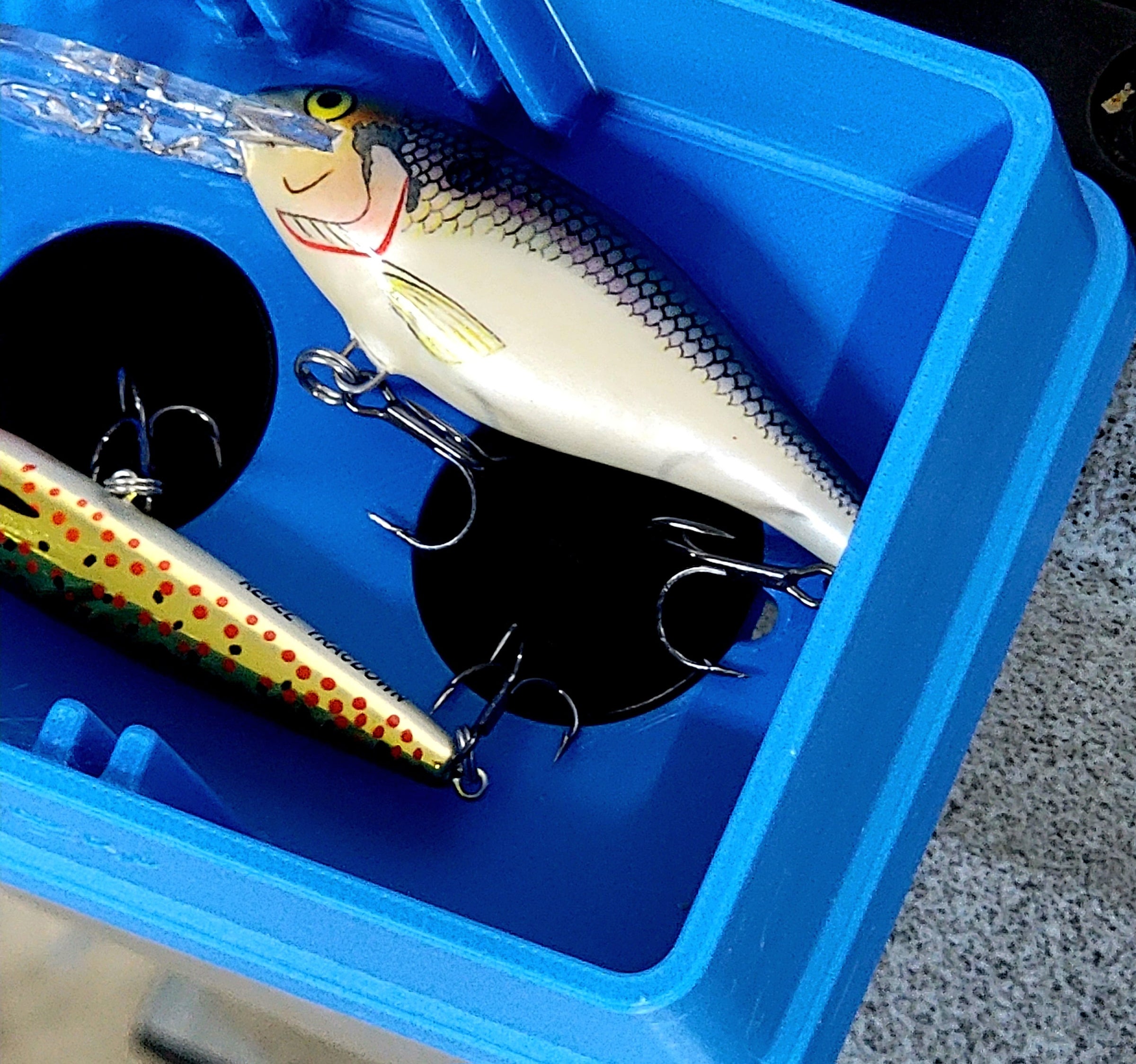Throw N Go Magnetic Tackle Tray Rail Mount System By YAK Hobby | Yak Hobby  - High Quality Kayak Parts and Accessories